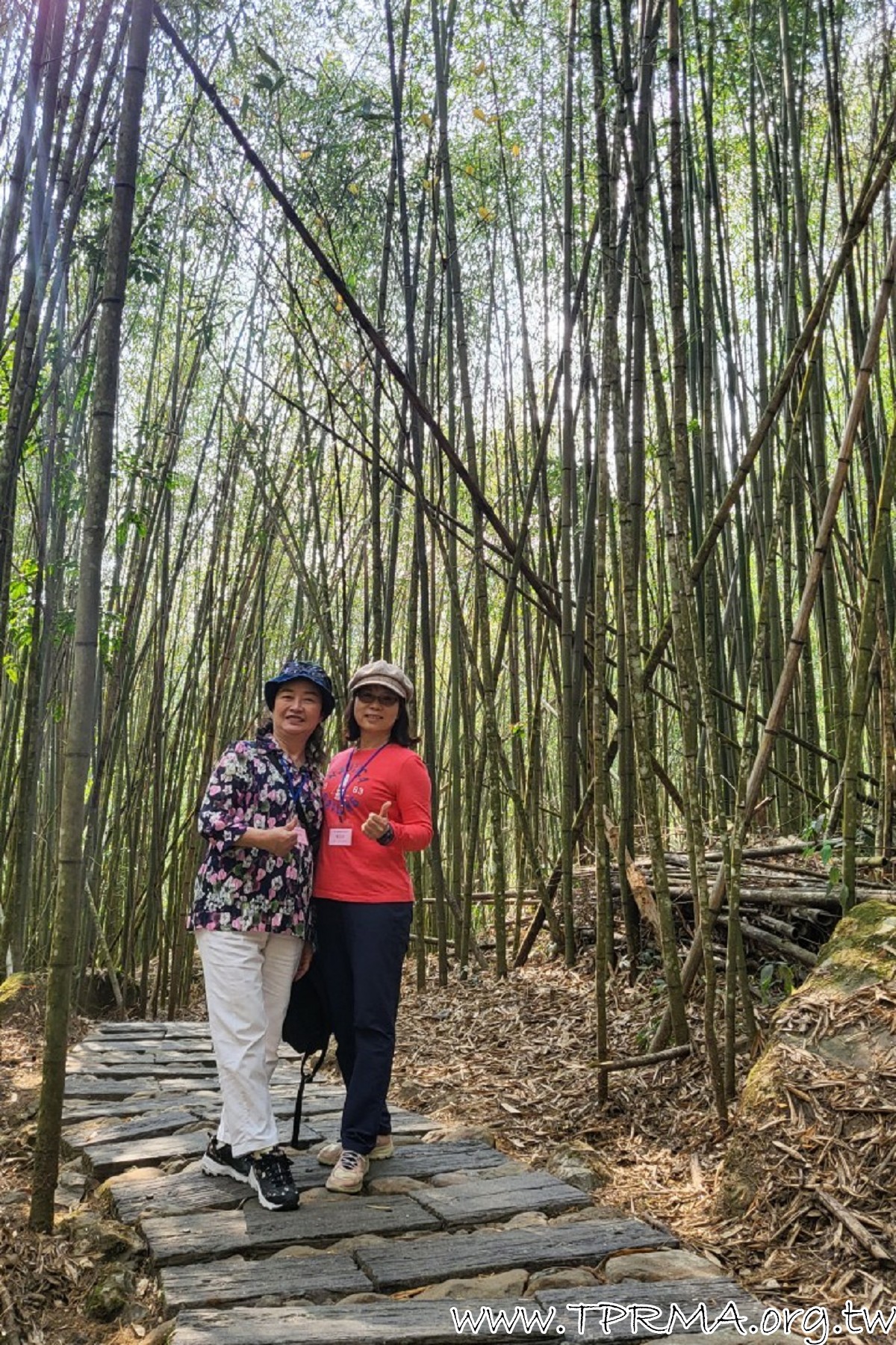 20230317 18阿里山小火車之旅 230323 328
