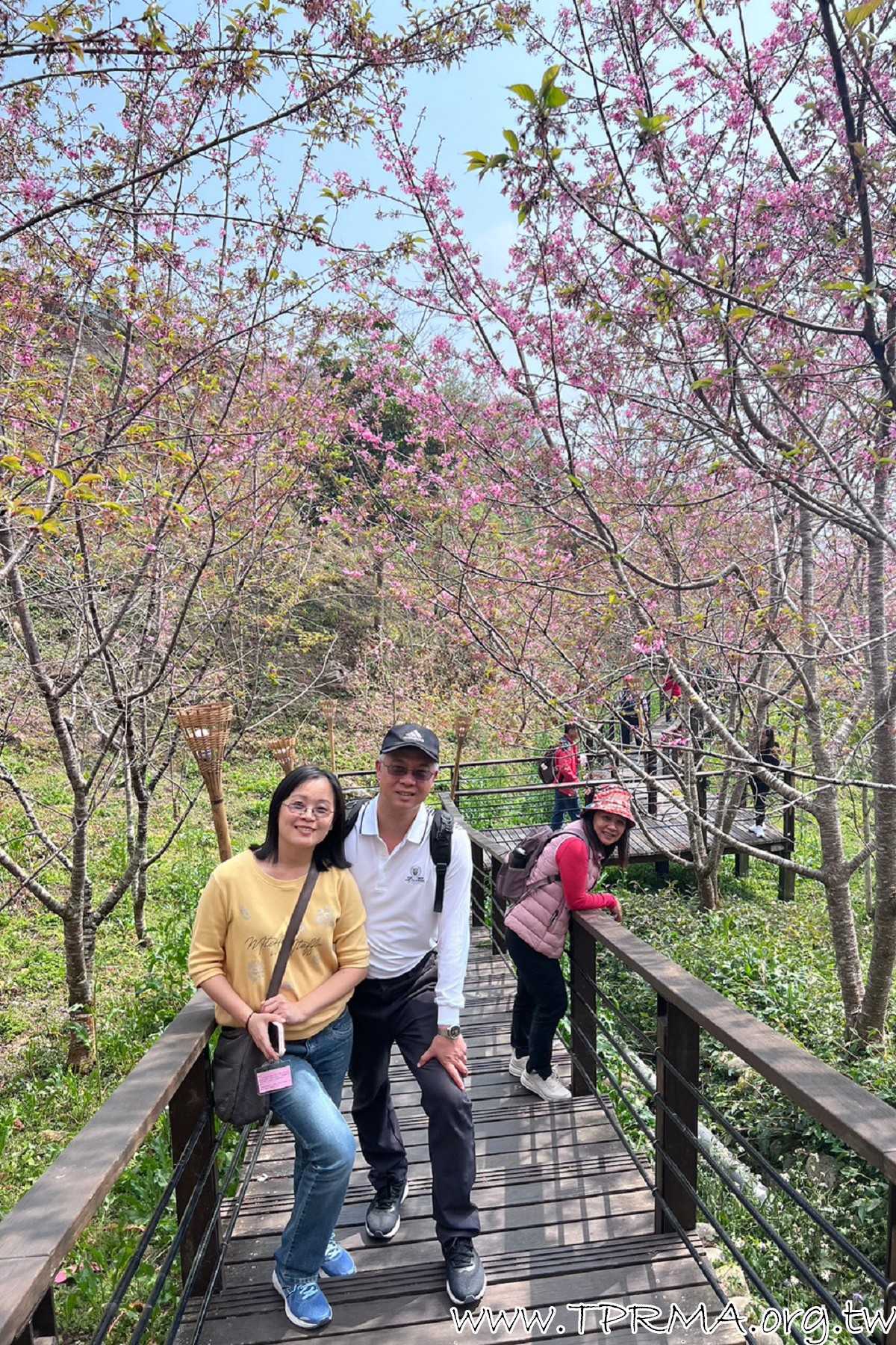 20230317 18阿里山小火車之旅 230323 446