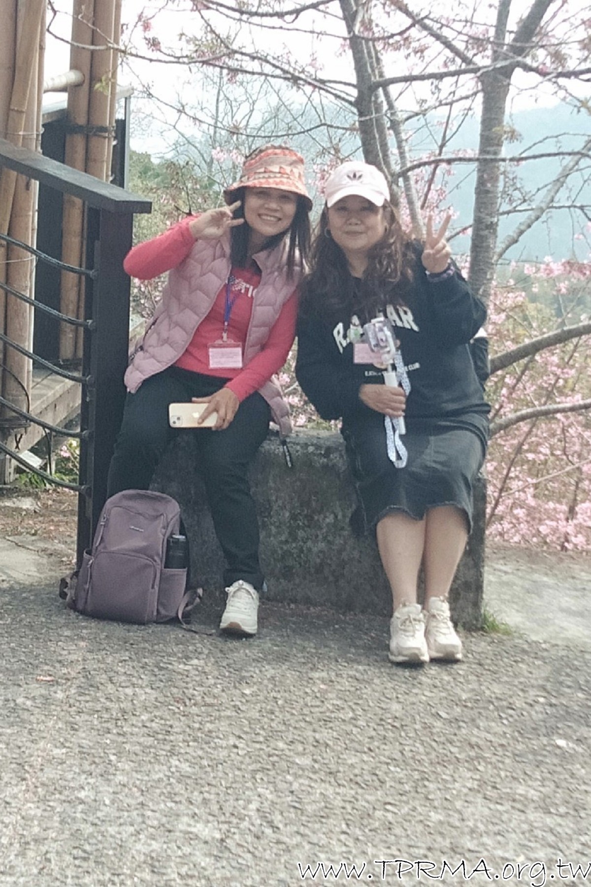 20230317 18阿里山小火車之旅 230323 468