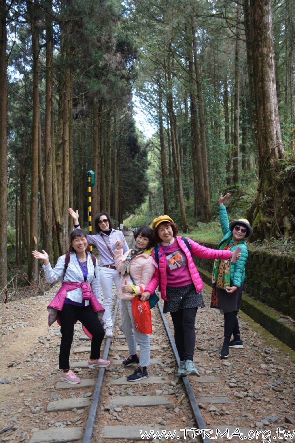 20230318阿里山森林遊樂區 230323 103