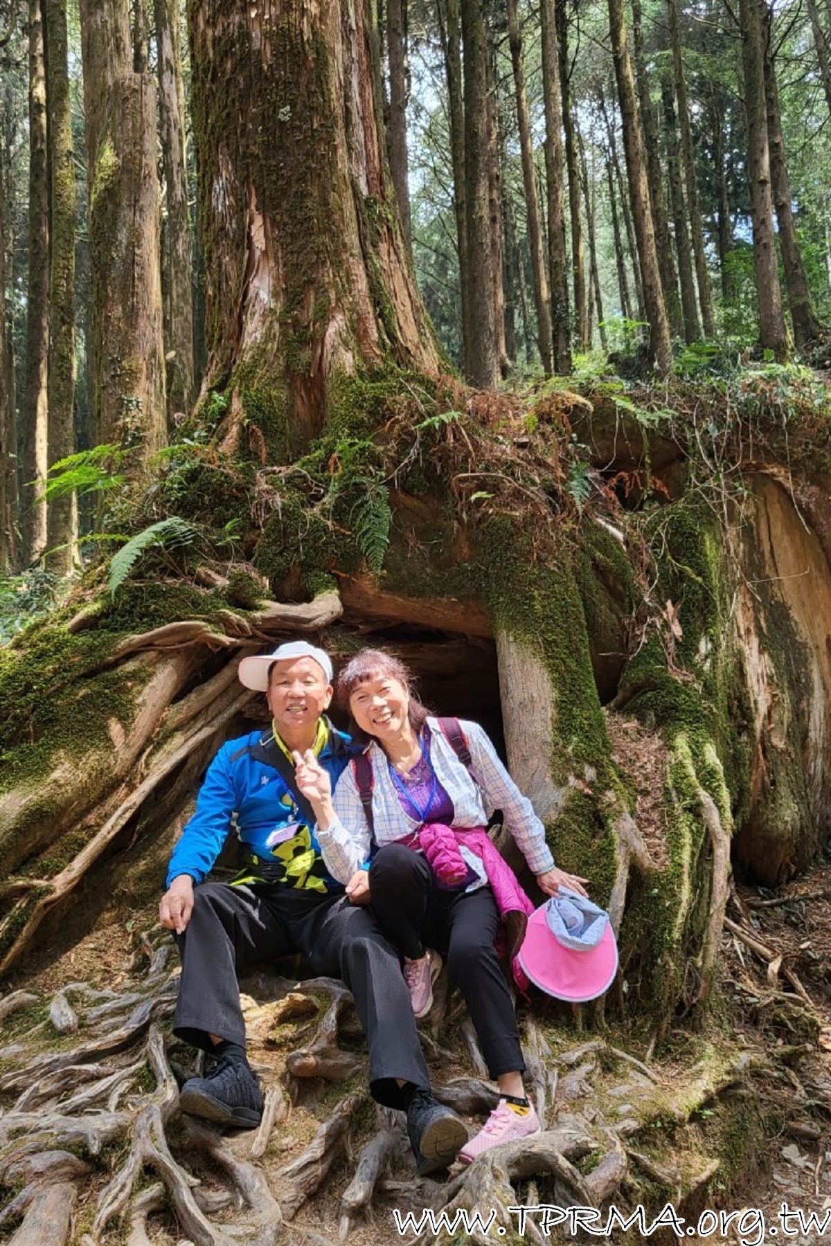 20230318阿里山森林遊樂區 230323 315