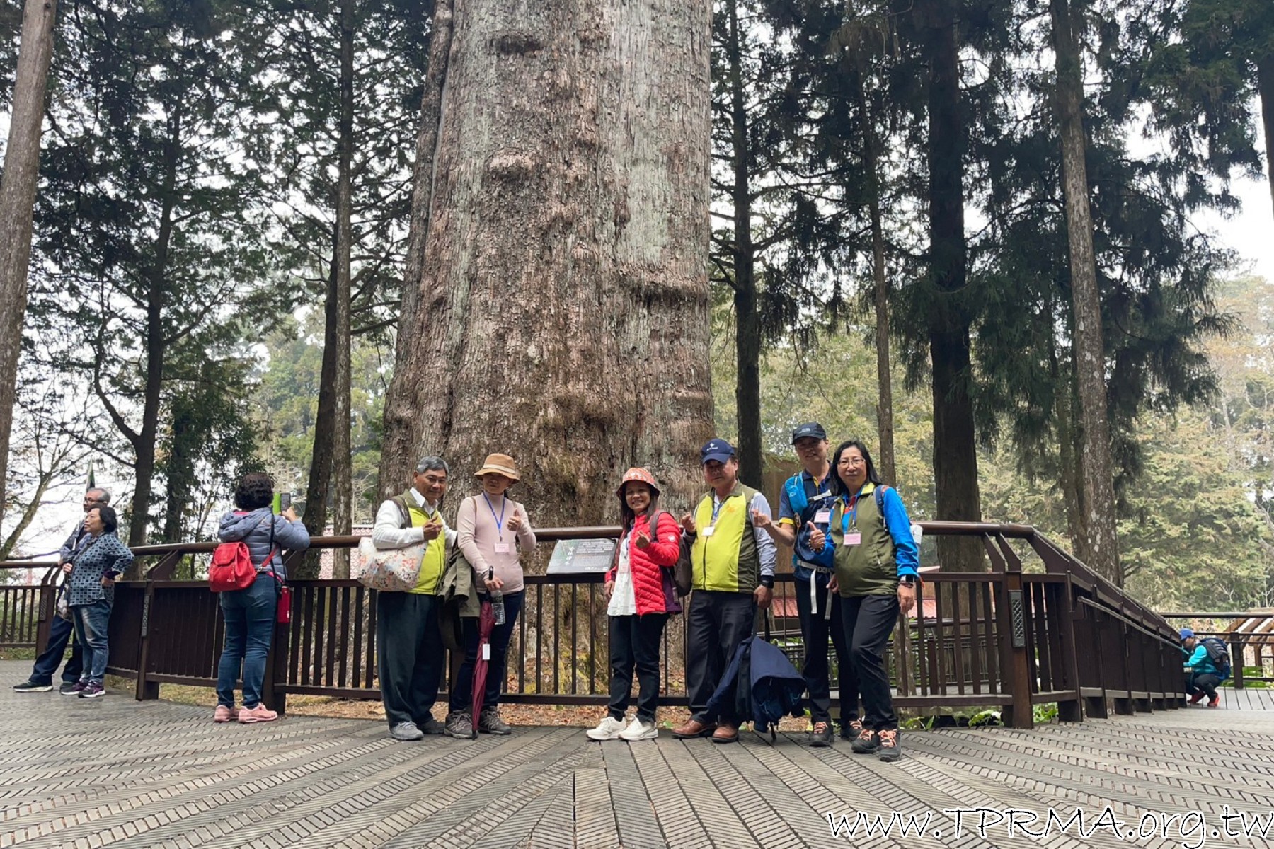 20230318阿里山森林遊樂區 230323 458